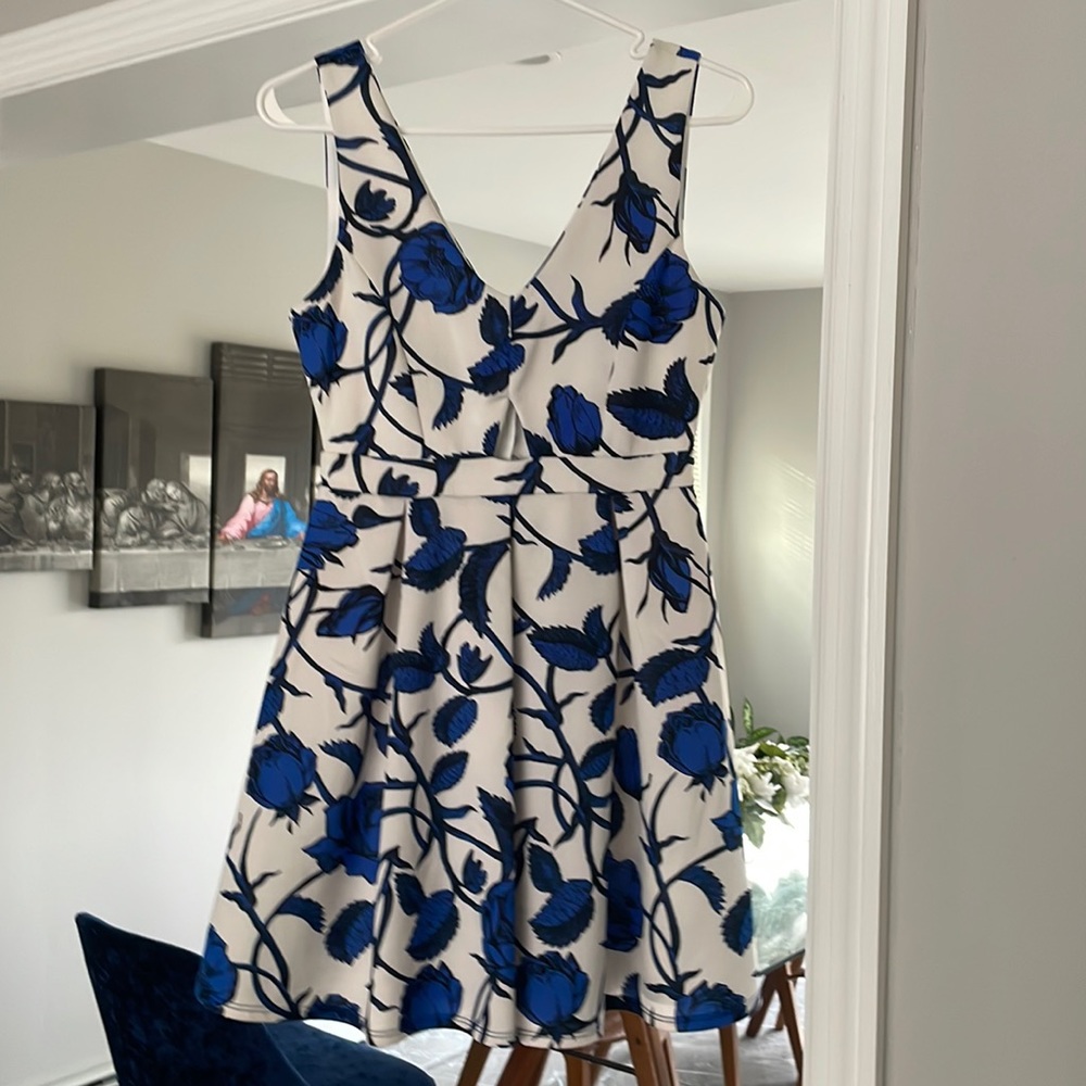 White & blue dress